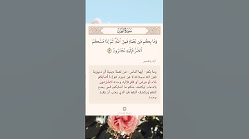 سورة النحل أية (٥٣) #نرتقي_بالتعلم
