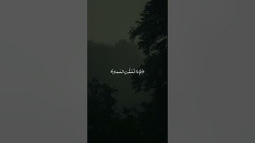 القارئ_ محمد عبده _سورة الرحمن