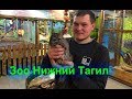 Поход в зоопарк г Нижний Тагил ( тест новой камеры съёмка без настроек )