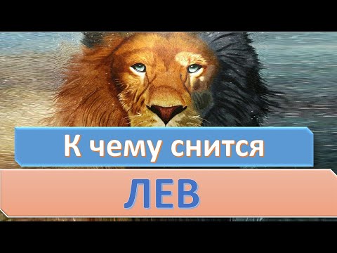 Видео: Сони Блек даде ли лъв на леви?