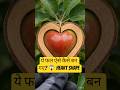 ये फल ऐसे कैसे बन गए? 😱 Heart Shape Fruits #shorts #trendingshorts #fruits #waitforend #viralshorts