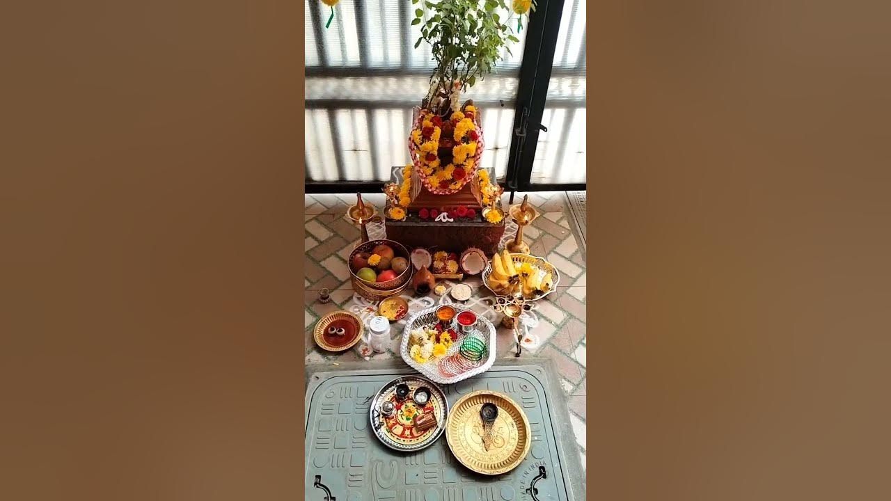 Tulsi habba 13/2024 food YouTube