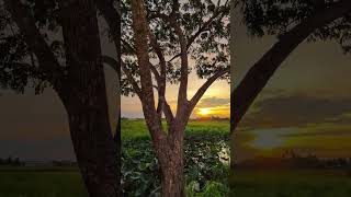 Inilah Zikir Yang Mendapat Kan 1000 Kebaikan