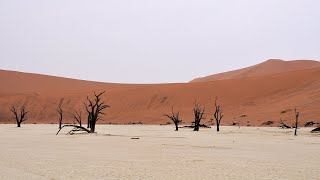 Chapter 1 - Little Kulala, Namibia