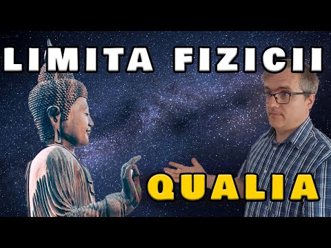 Video: De ce contează un inventar fizic?