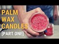 Palm Wax Candle Experiment | Part One