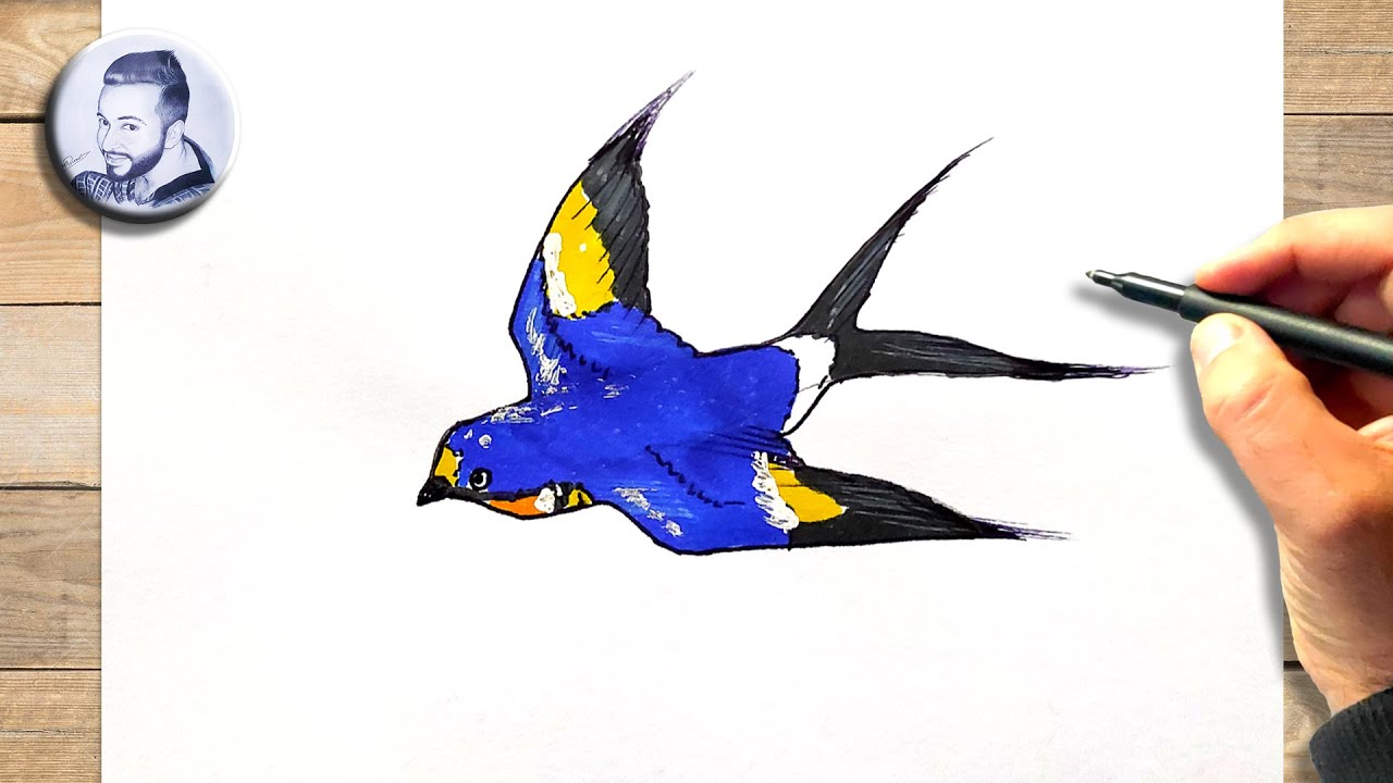 comment-dessiner-une-hirondelle-facilement-youtube