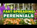 Top 10 Fast-Spreading Perennials | Full Season Color Made EASY! 😍 Mp3 Song