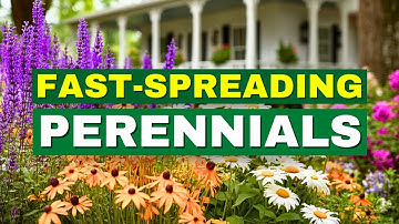 Top 10 Fast-Spreading Perennials | Full Season Color Made EASY! 😍
