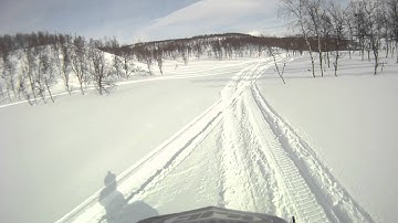 THE FINDING OF AN POLARIS DRAGON CRASHED INTO A TREE
