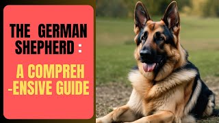 The Emblematic German Shepherd: A Comprehensive Guide by LES ANIMAUX DE COMPAGNIE  50 views 4 weeks ago 11 minutes, 23 seconds