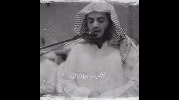 آرح قلبك 💜 تلاوة الخاشعة بصوت رعد الكردي حالات واتس اب راحة قلبك