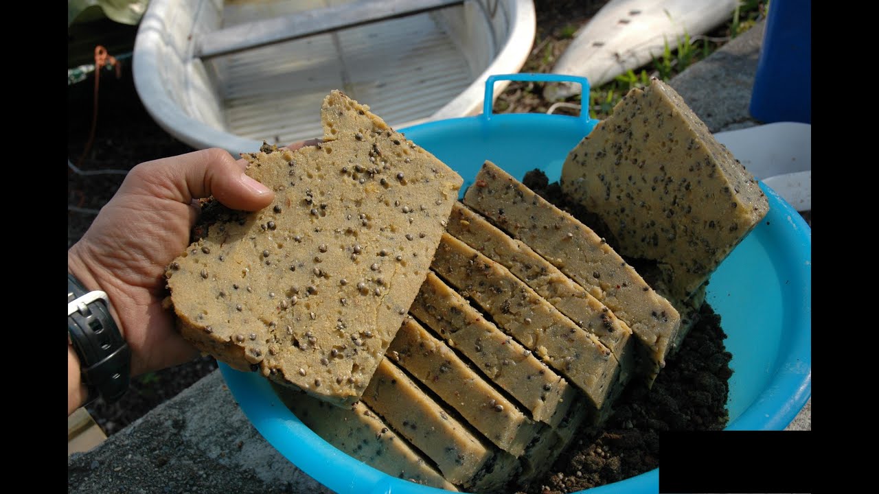 La polenta come pasturazione a basso costo per il carpfishing moderno