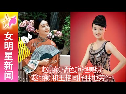 Beautiful photo of Zhao Liying's orange cheongsam, Zhao Liying and Wang Yan are also farming