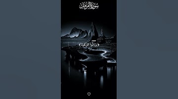 الجزء ٨ #سورةالمزمل بصوت عبدالرحمن مسعد #surahmuzzammil #عبدالرحمن_مسعد #راحة_نفسية #qurantilawat