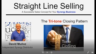 Synergy Worldwide – Straight Line Selling and Tri-Tonal Closing Patterns screenshot 5