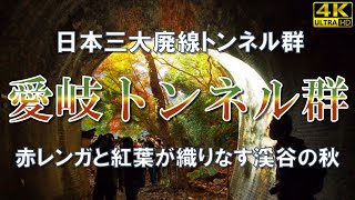 【絶景の紅葉・愛岐トンネル群】旧国鉄中央線の廃線区間の「愛岐トンネル群」を大公開、庄内川渓谷と赤レンガのトンネル、そして燃えるような紅葉に包まれた廃線路を歩く非日常の絶景紅葉ウォーク！（4K高画質）