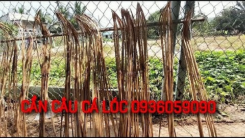 Bán cần câu cắm ca lóc