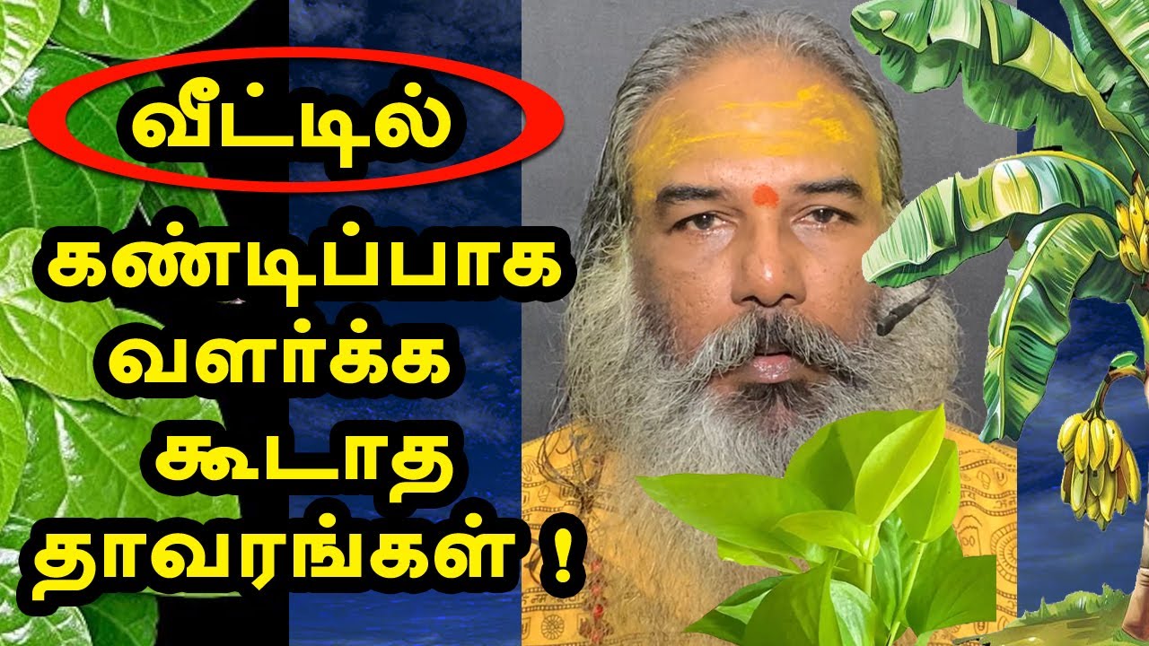 வீட்டில் எந்த செடி, மரம், கொடி வளர்க்க கூடாது ? | yaanan speech | @channelartindia