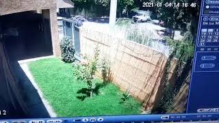 El video del robo seguido de muerte en Rivadavia