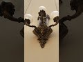 chandeliers and interior of the BANK OF BRAZIL CULTURAL CENTER
