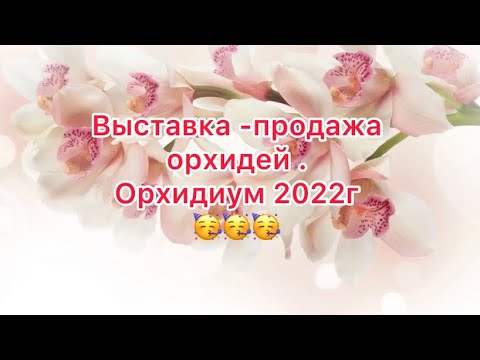 Осенняя выставка орхидей