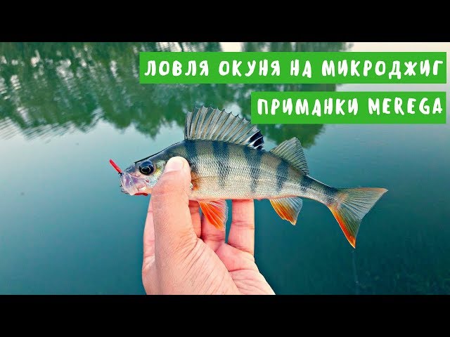 Ловля окуня на микроджиг