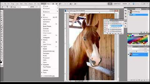 Creating a Snapshot to Undo Actions in Photoshop