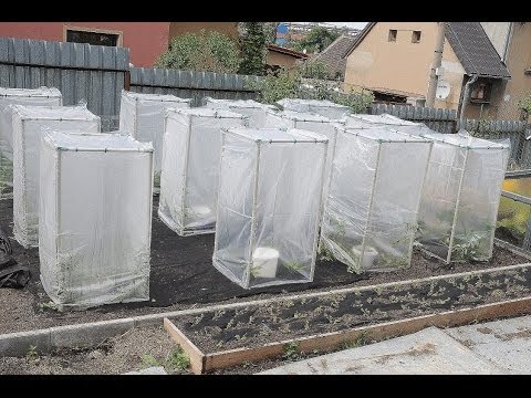 Video: Můžete klimatizovat zimní zahradu?