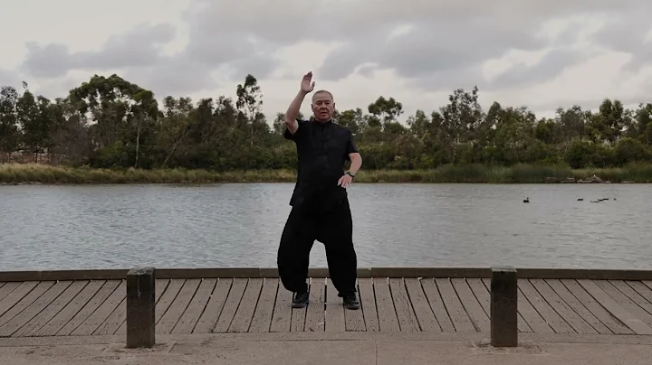 Lotus Qigong (mirror version)