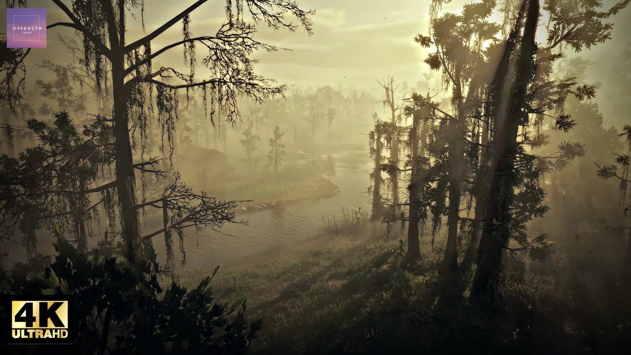 Red Dead Redemption 2 - Relaxing Ambience - Sunset in Bluewater Marsh