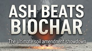Wood Ash - The Overlooked Soil Tonic That Outperforms Biochar