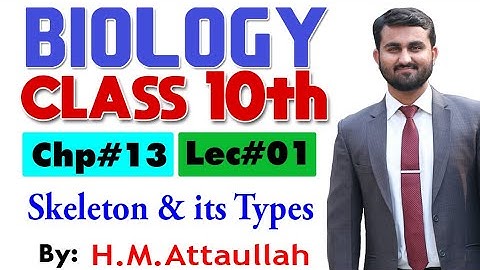 Skeleton and its Types | Chapter # 13 | Biology Class 10th | Lec. # 1
