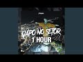 VAPO NO SETOR 1 HOUR