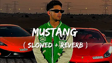 Mustang Song ( Slowed + Reverb ) || Karan Randhawa New Song 2023 || #slowedandreverb #karanrandhawa