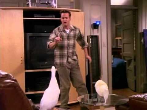 Friends Chandler Bing Never The Cooking Channel-11-08-2015