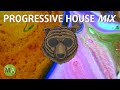 Upbeat Study Music Progressive House Mix For Peak Focus Isochronic Tones