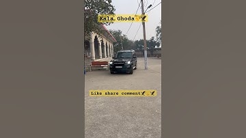 choddar jaat ki - scorpio #jaat #scorpiolover #haryanvisong #delhi #kissan #trending #shortvideo