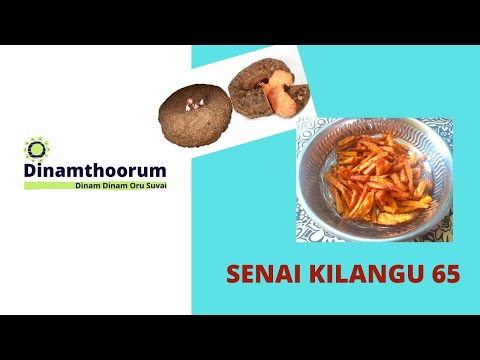 Senai kilangu 65 by Dinamthoorum
