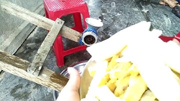 Hướng dẫn làm mồi câu lancer - câu cá chép, trắm bằng sắn và khoai lang cực nhạy