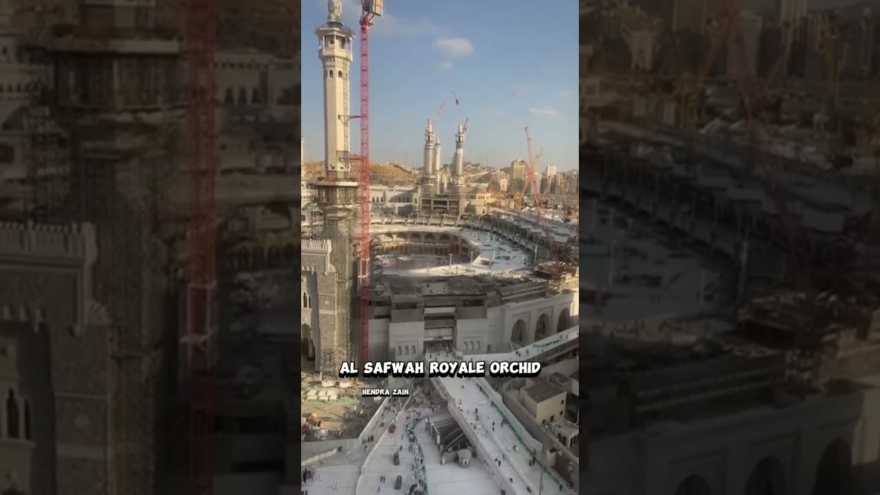 Al Safwah Royale Orchid 