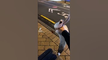 Thumbnail of MAN SINGS A SONG WHILE A SEAGULL MAKES SEAGULL SOUNDS WITH THE SONG😂 #shorts