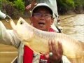 Memancing ikan langka di Ujung Papua - Merauke