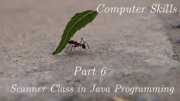 Part 6 Reading Data By Scanner Class in Java Programming
