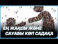 Сауабы көп садақа жайлы білесің бе?