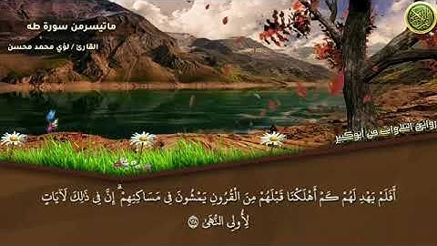 (افلم يهد لهم كم اهلكنا قبلهم من القرون يمشون في مساكنهم) سورة طه