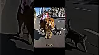 🎬 Master the art of video editing, unlock secrets and boost your skills 🚀 Trending now: