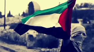 عبارات عن فلسطين | Phrases about Palestine