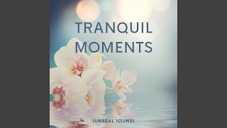 Tranquil Moments