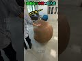 超面白い中国の巨大岩